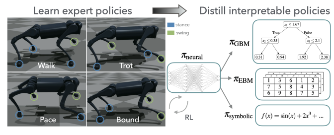 Distilling Reinforcement Learning Policies for Interpretable Robot Locomotion: Gradient Boosting Machines and Symbolic Regression