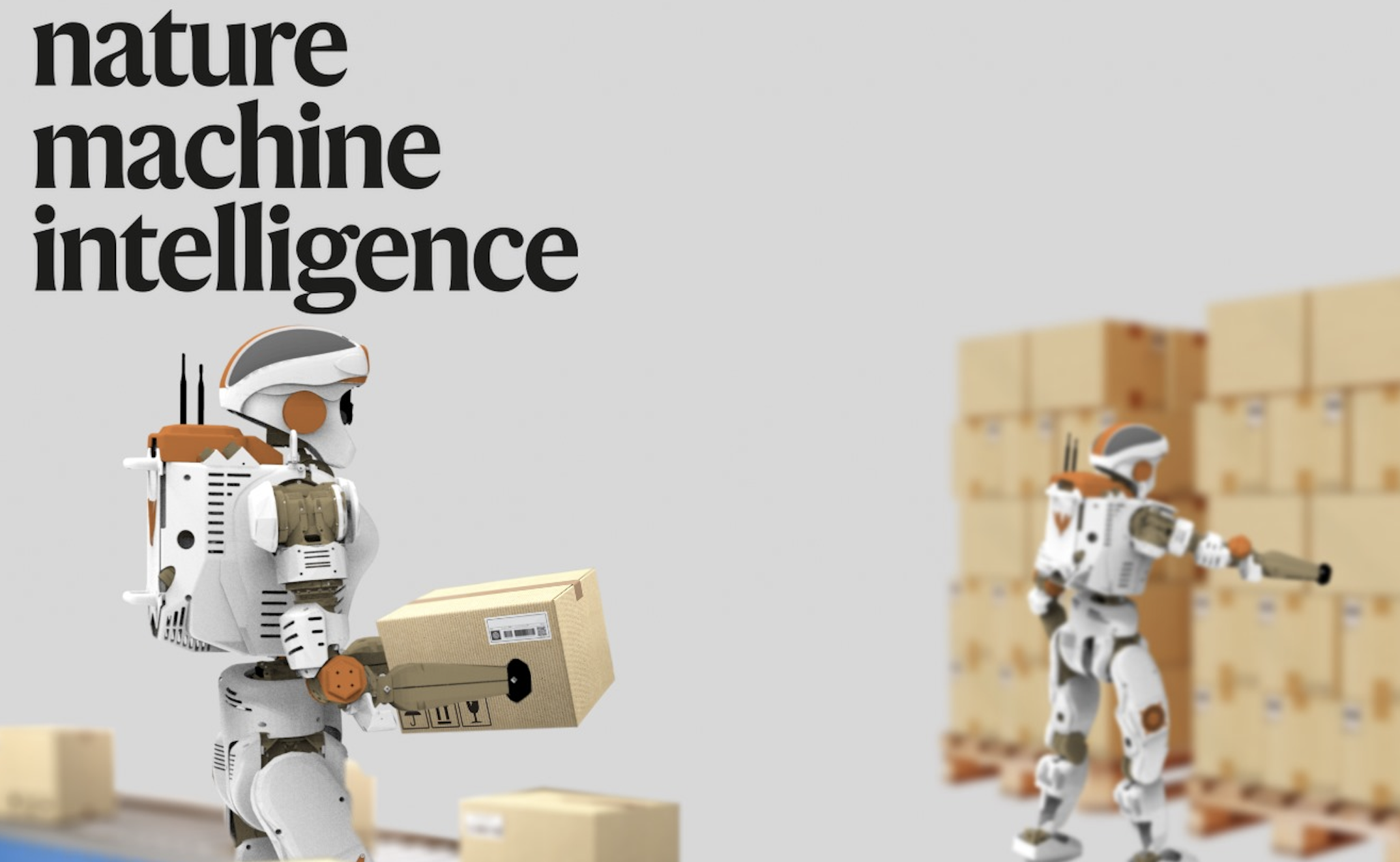 DexSkills: Skill Segmentation Using Haptic Data